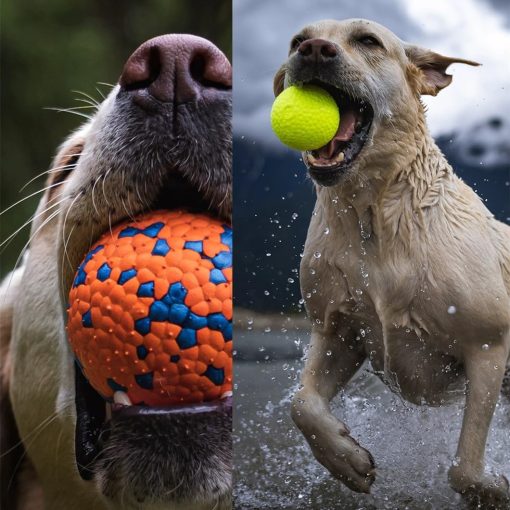 Hundespielzeugball - Gummiball mit hoher Elastizität - Image 4
