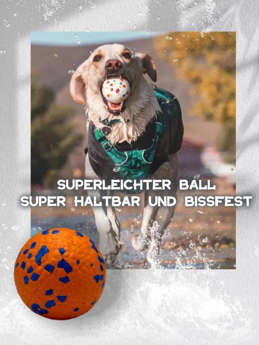 Hundespielzeugball - Gummiball mit hoher Elastizität - Image 5