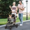 3-in-1 Hundebuggy, faltbar (grau)