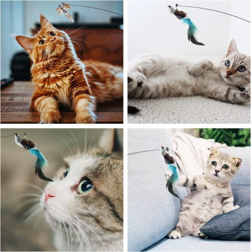 Intellektuelles Katzenspielzeug, Katzenangel, stabil, mit Federsimulationsrute - Image 18