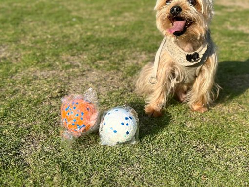 Hundespielzeugball - Gummiball mit hoher Elastizität - Image 9